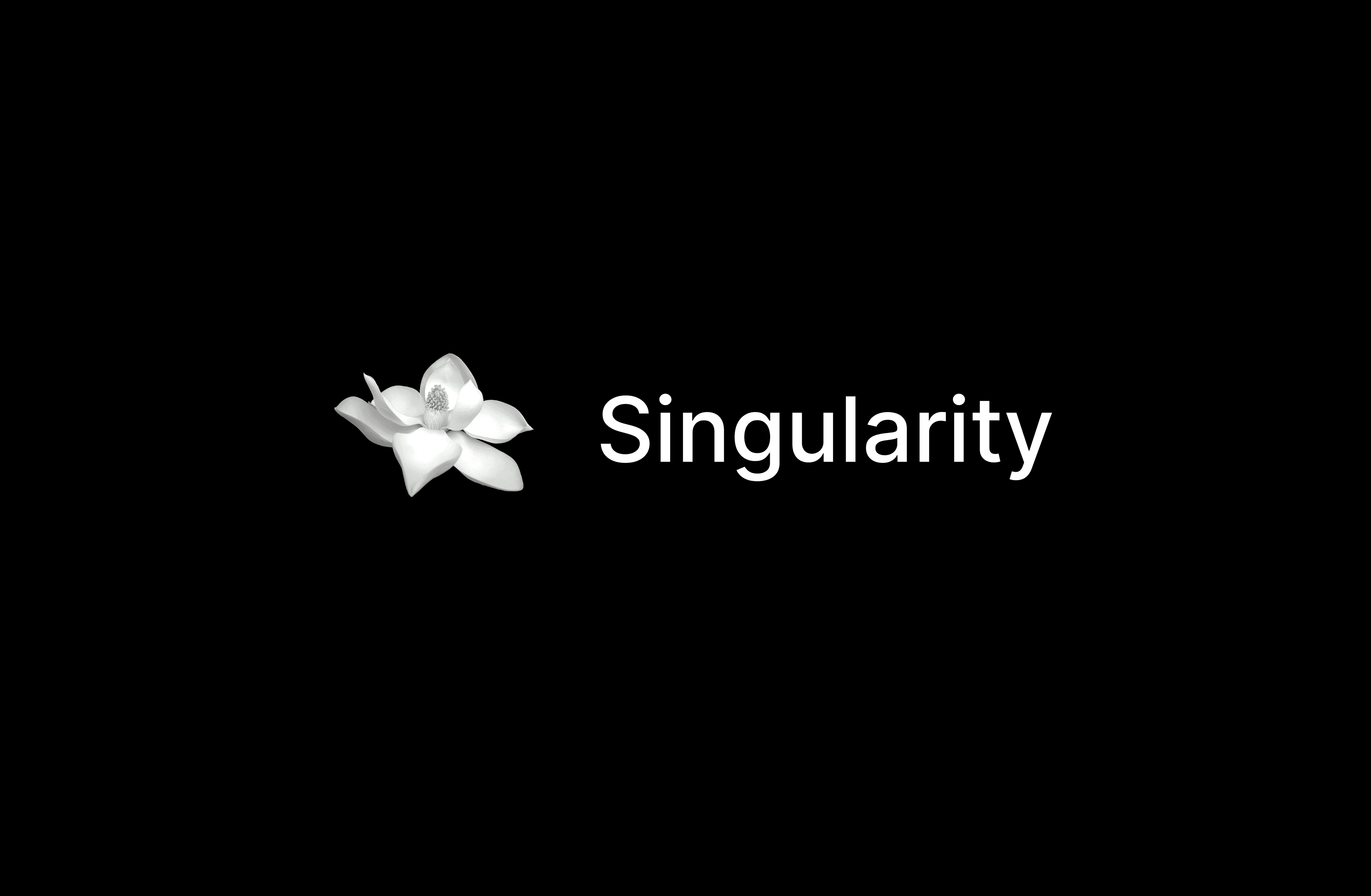 Singularity